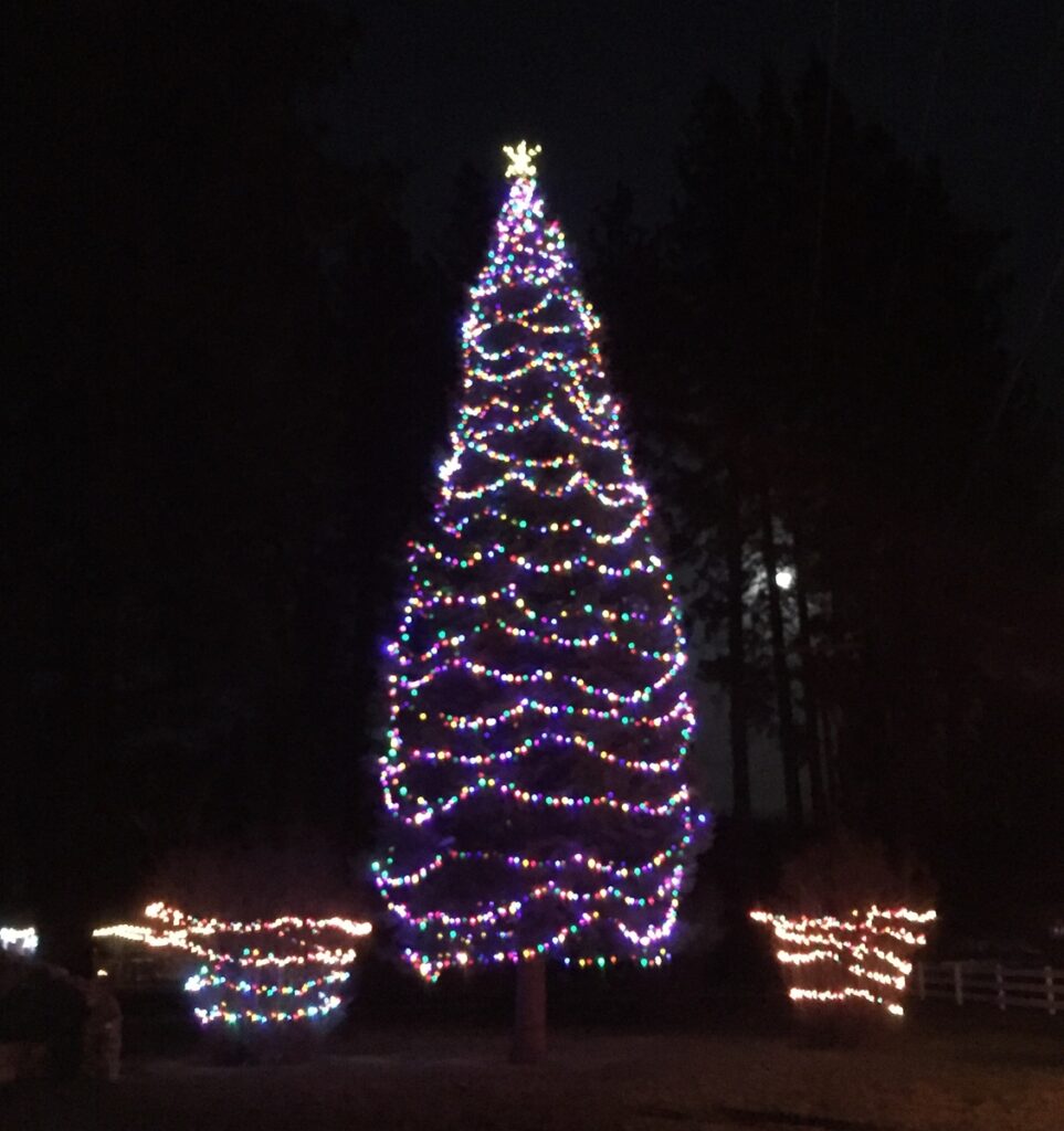 Graeagle Holiday Festival & Tree Lightning Discover The Lost Sierra